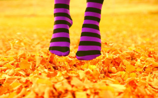 Person striped socks leaves green 2 - their leg free wallpaper