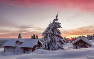 Snowy landscape sunset cabin tree - a tree in the foreground free wallpaper