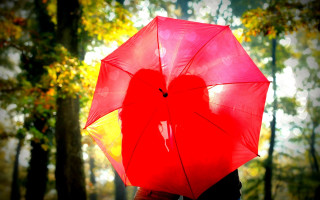 Red umbrella forest romantic autumn - romantic free wallpaper
