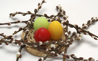 Three eggs nest twigs berries - a white background free wallpaper for desktop