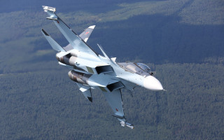 Fighter jet forest daylight pilot - a fighter free wallpaper for desktop