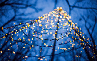 Tall building glowing lights bare - side and trees free wallpaper