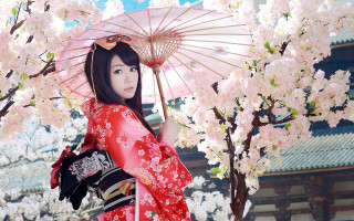 Kimono pink umbrella cherry blossoms - a woman in a kimono holding free wallpaper