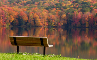 Lake bench autumn leaves forest - the background and a forest free wallpaper
