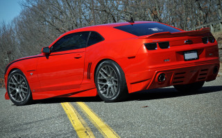 Red sports car road tree - a yellow line free wallpaper