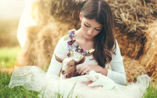 Woman white dress lamb hayfield - a white dress holding free wallpaper