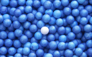 White egg blue bowl blueberries - aquirax uno free wallpaper for desktop