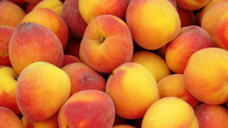 Peach pile yellow background green - a green leaf free wallpaper
