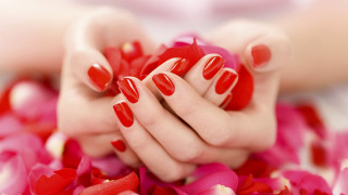 Red manicure pink petals photorealistic - rich free wallpaper
