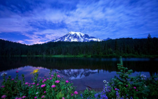 Mountain lake wildflowers blue sky - naturalism free wallpaper