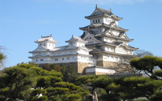 White building tower surrounded by - a tower free wallpaper