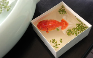 Fish box table peas broccoli - amano free wallpaper