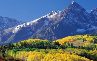 Mountain range snow capped forest 2 - mountain free wallpaper for desktop