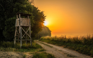 Wooden tower dirtroad forest sunset - ferenc joachim free wallpaper