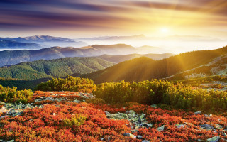 Mountain range sunset autumn leaves - edi rama free wallpaper