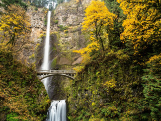Waterfall bridge forest autumn tilt - a bridge over free wallpaper
