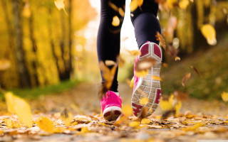 Person pink shoes leaves woods - pink shoe free wallpaper
