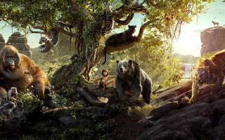 Jungle animals grass trees fantasy - the jungle free wallpaper