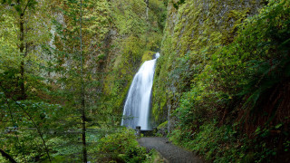 Waterfall forest path person standing - the side of the waterfall free wallpaper