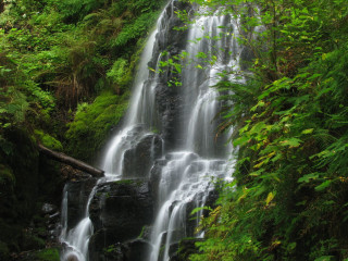 Waterfall forest trees bushes person - ann thetis blacker free wallpaper