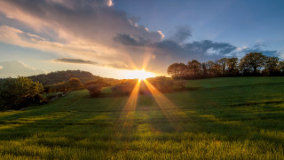 Sunset field trees clouds mountain - a sun free wallpaper