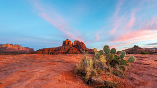 Cactus desert mountain sunset clouds - a mountain in the background free wallpaper