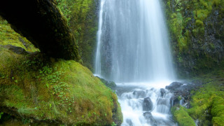 Waterfall moss rocks fallen tree - impressionist free wallpaper