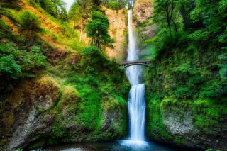 Waterfall bridge forest nature scenery - a bridge over free wallpaper
