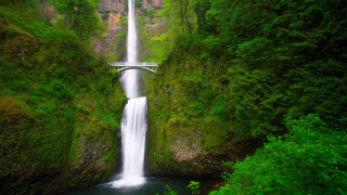 Waterfall bridge river forest nature 2 - a bridge over free wallpaper