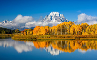 Mountain lake trees blue sky 7 - yellow leaf free wallpaper