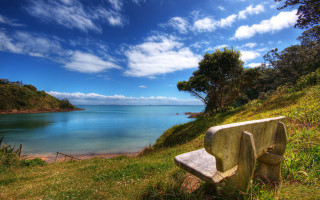 Bench hill lake tree line - a hill free wallpaper