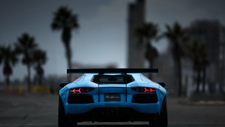 Blue sports car palm trees 4 - rim free wallpaper