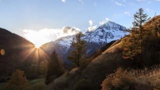 Mountain snow peak trees sun - the cloud free wallpaper