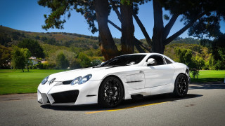 White sports car road tree - a grassy area free wallpaper