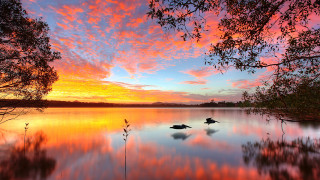 Sunset lake ducks trees pink - a sunset over a lake free wallpaper