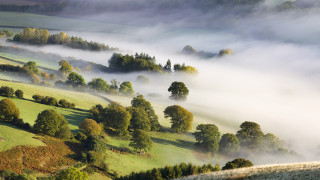 Foggy valley trees grass clouds - mist free wallpaper