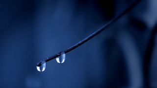 Water drops wire blue background - fiona stephenson free wallpaper