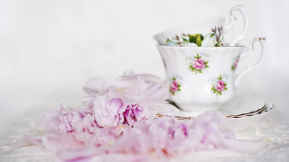 Couple cups flower spoon stilllife - annabel kidston free wallpaper