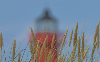 Red lighthouse tall grass blue - depth of field free wallpaper