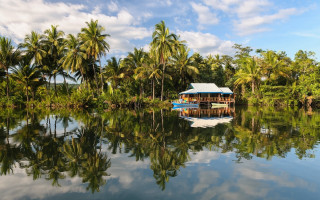Boat water house lake palm - impressionist free wallpaper