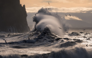 Wave cliff ocean birds sunset - bird free wallpaper