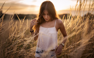 Woman sunset field hair portrait - tall grass free wallpaper