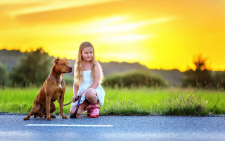 Girl dog sunset outdoors braid - the side of the road free wallpaper