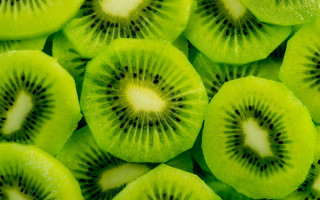 Kiwi closeup white center green - ayo free wallpaper