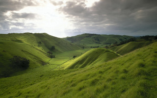 Grassy hill trees cloudy sky - a grassy hill free wallpaper