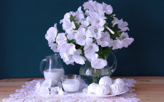 Vase flowers milk lace doily - a candle free wallpaper