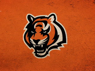 Tiger head wall black orange - the side of the wall free wallpaper