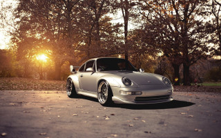 Silver sports car parking lot 16 - the tree behind free wallpaper