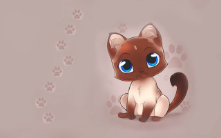 Blue eyed cat standing next - a wall free wallpaper for desktop