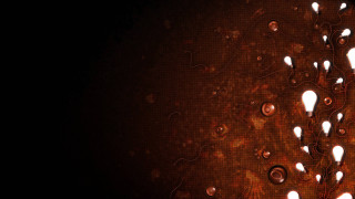Tree lights abstract microscopic biopunk - many light free wallpaper